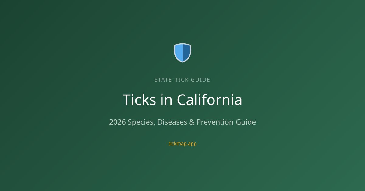 Ticks in California (2026): Species, Diseases & Prevention Tips — Tick Map