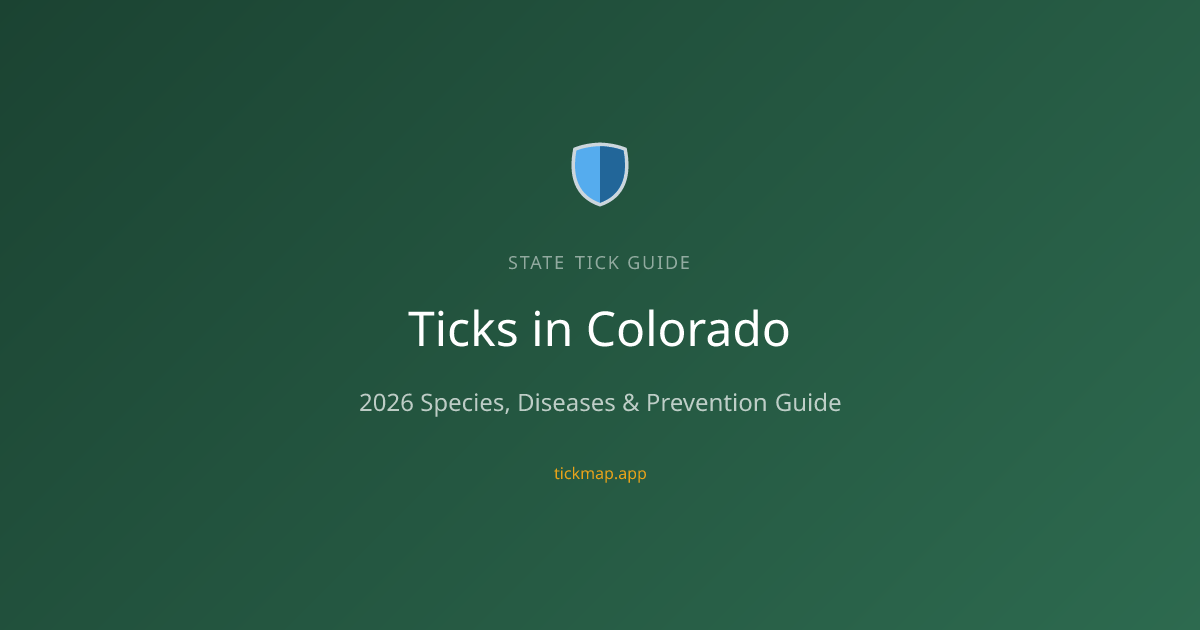 Ticks in Colorado (2026): Species, Diseases & Prevention Tips — Tick Map
