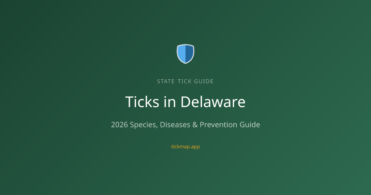 Ticks in Delaware (2026): Species, Diseases & Prevention Tips — Tick Map