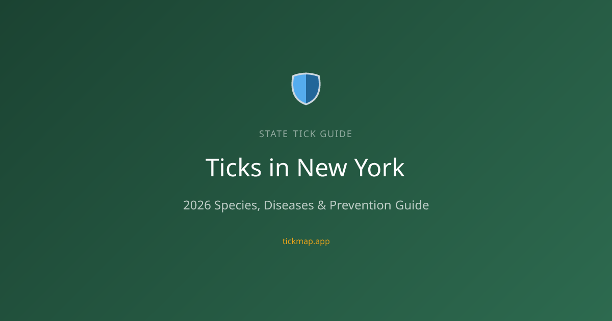 Ticks in New York (2026): Species, Diseases & Prevention Tips — Tick Map