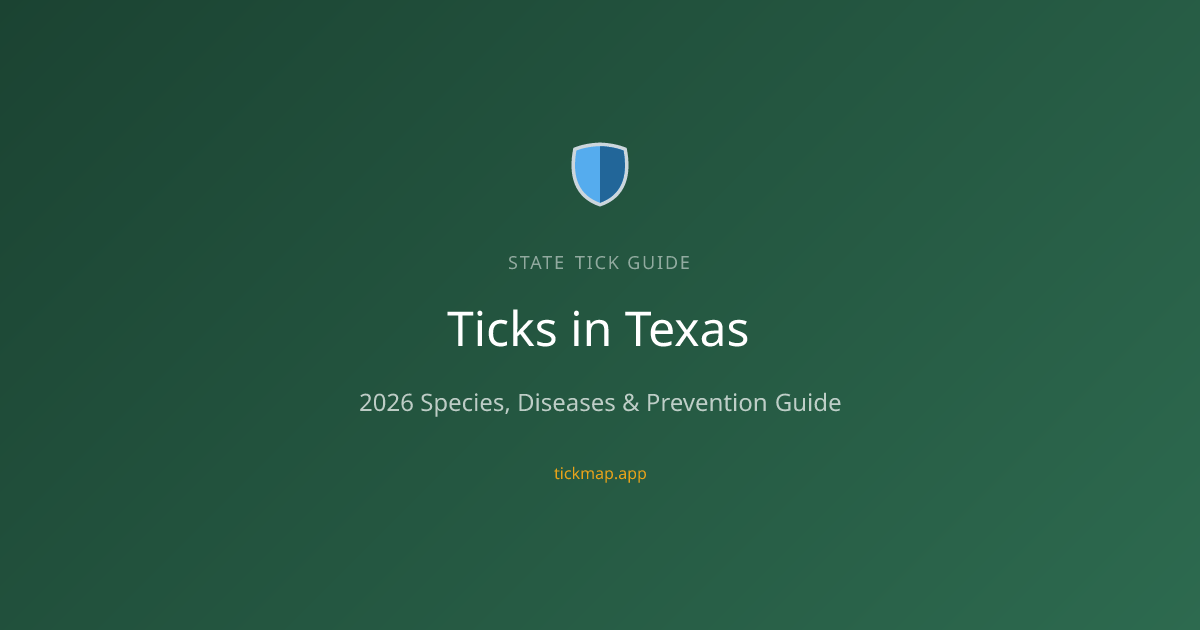 Ticks in Texas (2026): Species, Diseases & Prevention Tips — Tick Map